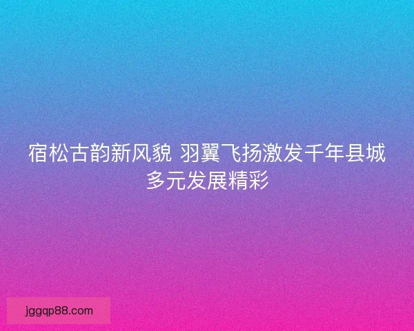 宿松古韵新风貌 羽翼飞扬激发千年县城多元发展精彩 宿松古韵新风貌 羽翼飞扬激发千年县城多元发展精彩